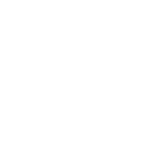 Interlagos Circuit Layout